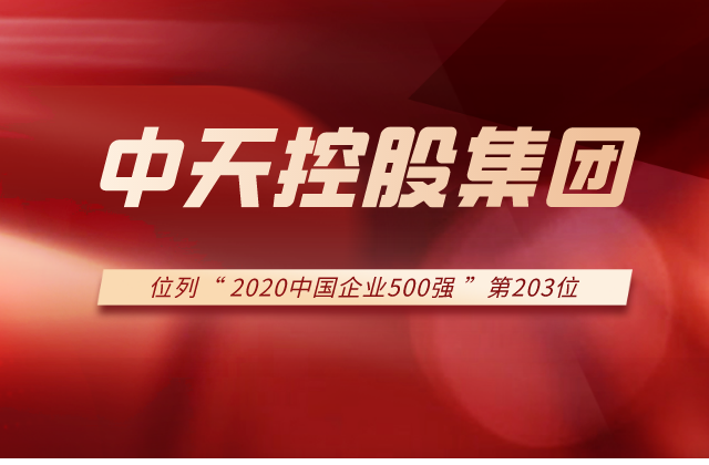 银娱优越会控股集团列2020中国企业500强第203位！